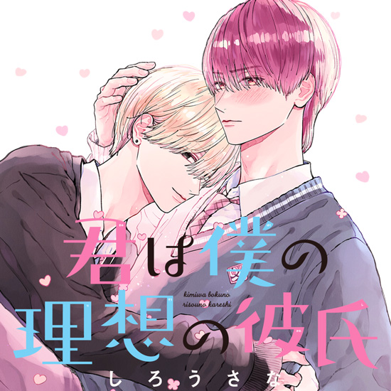 君は僕の理想の彼氏